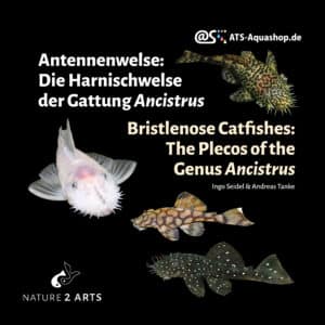 The wait is over: our Ancistrus book will be published in May 2025!