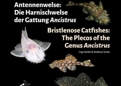 Das Warten hat ein Ende: Unser Ancistrus-Buch erscheint im Mai 2025!