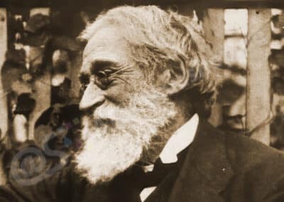 Ancistrus maculatus (Steindachner, 1881)